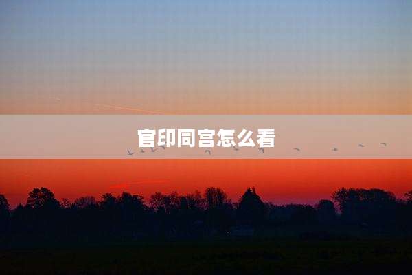 官印同宫怎么看