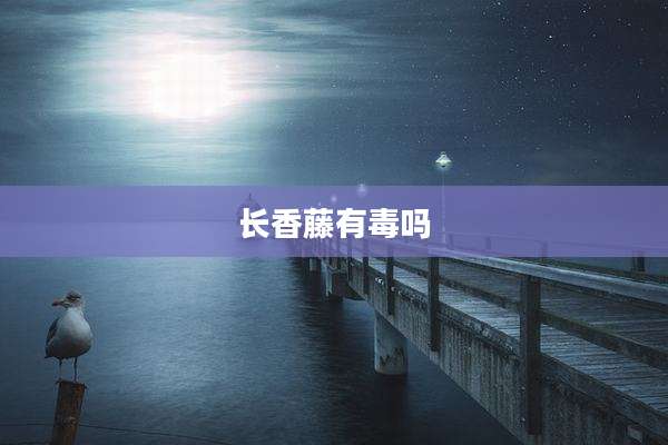长香藤有毒吗