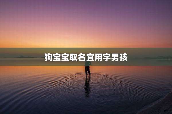 狗宝宝取名宜用字男孩