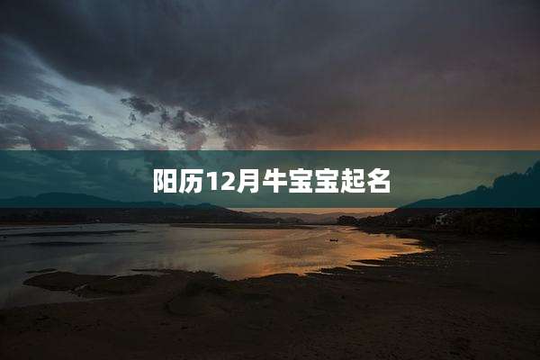 阳历12月牛宝宝起名