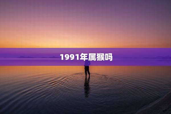 1991年属猴吗