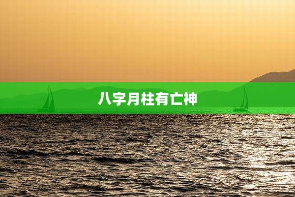 八字月柱有亡神