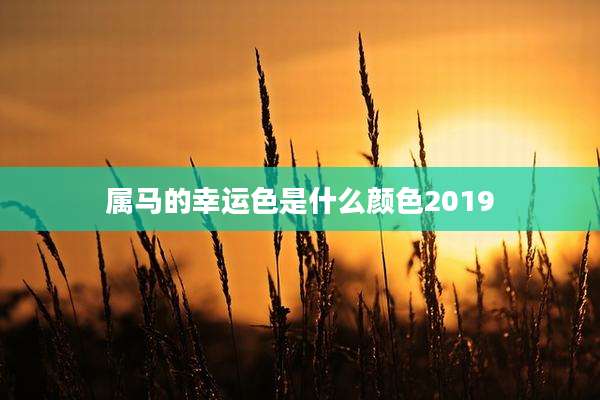 属马的幸运色是什么颜色2019