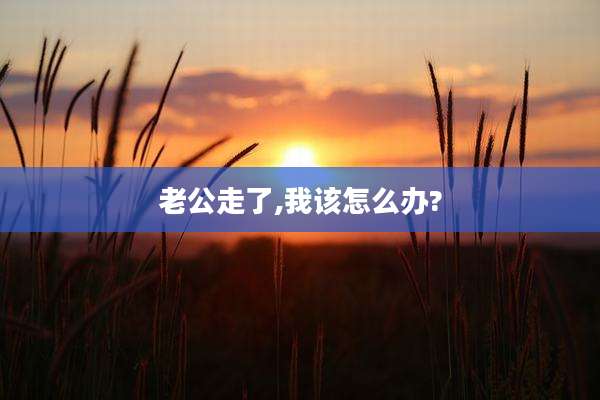老公走了,我该怎么办?