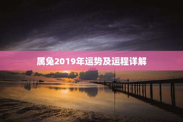 属兔2019年运势及运程详解