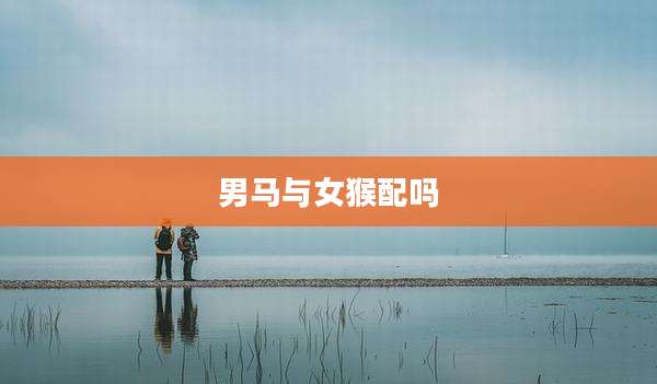 男马与女猴配吗