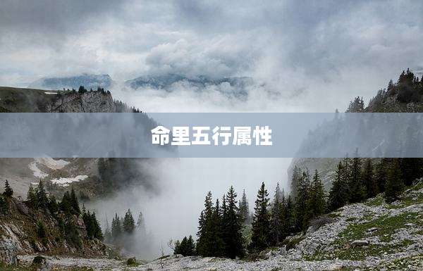命里五行属性