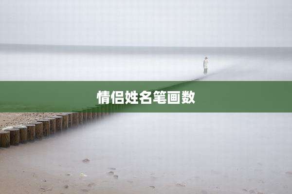 情侣姓名笔画数