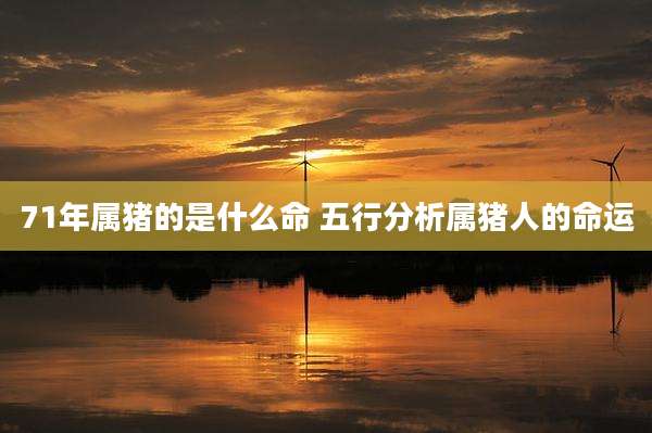 71年属猪的是什么命 五行分析属猪人的命运