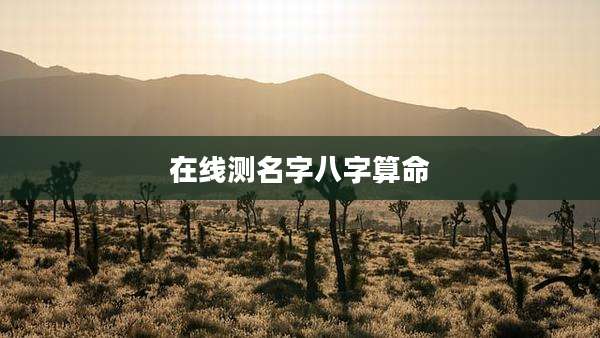 在线测名字八字算命