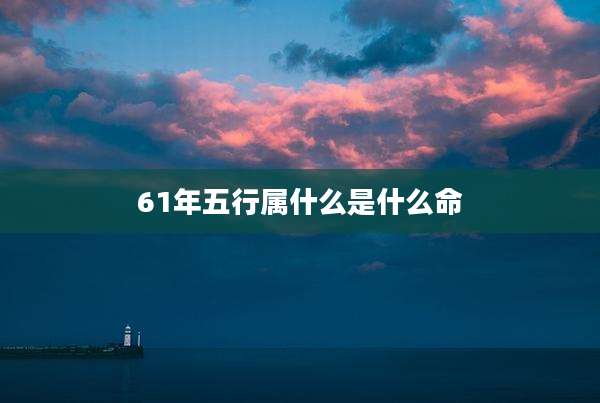 61年五行属什么是什么命