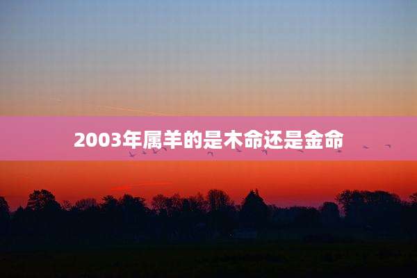 2003年属羊的是木命还是金命