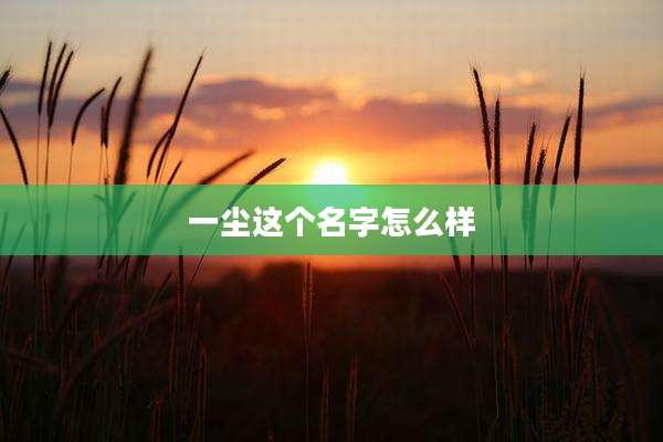 一尘这个名字怎么样