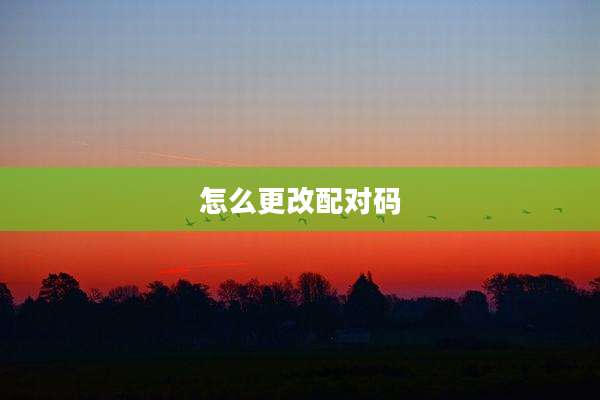 怎么更改配对码