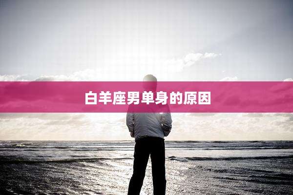白羊座男单身的原因