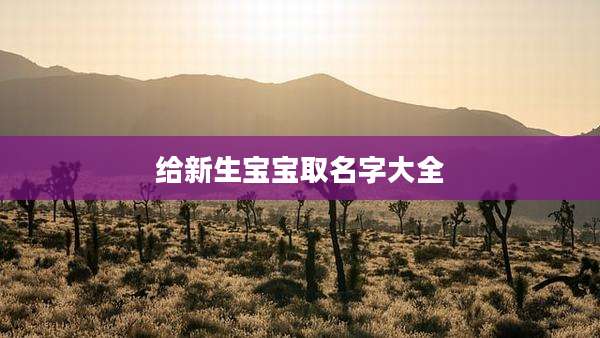 给新生宝宝取名字大全