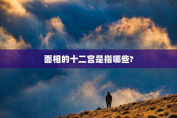 面相的十二宫是指哪些?