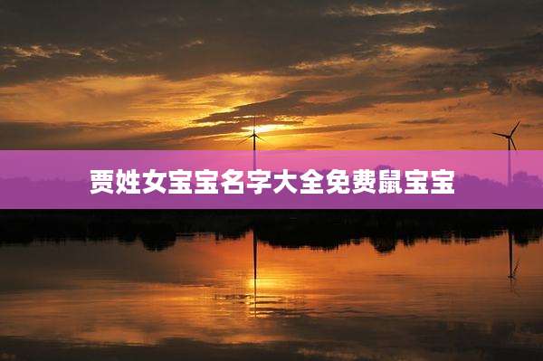 贾姓女宝宝名字大全免费鼠宝宝