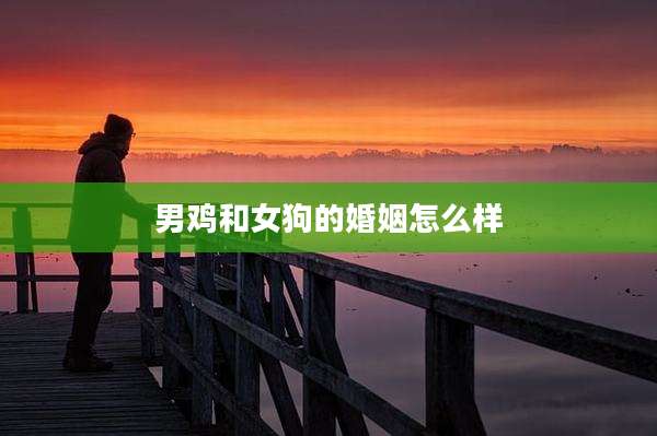 男鸡和女狗的婚姻怎么样