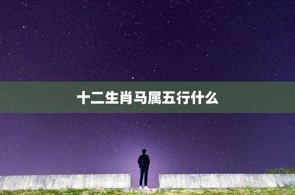 十二生肖马属五行什么