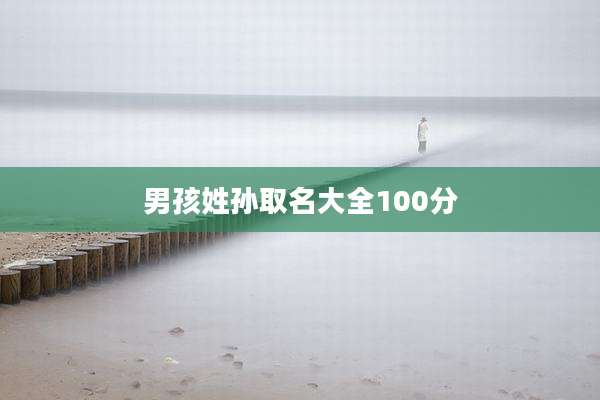 男孩姓孙取名大全100分