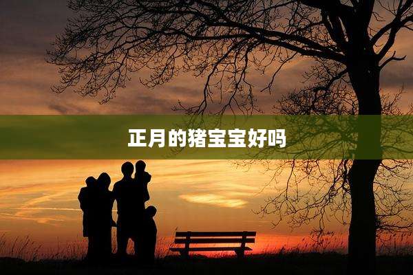 正月的猪宝宝好吗