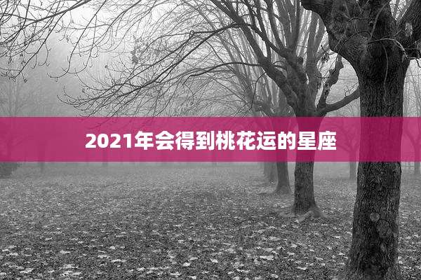 2021年会得到桃花运的星座