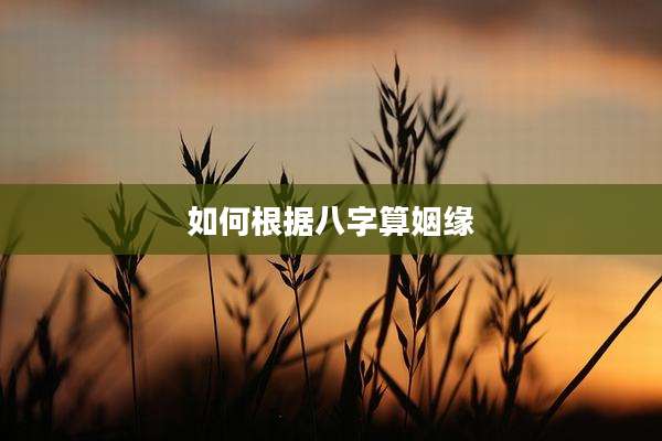 如何根据八字算姻缘
