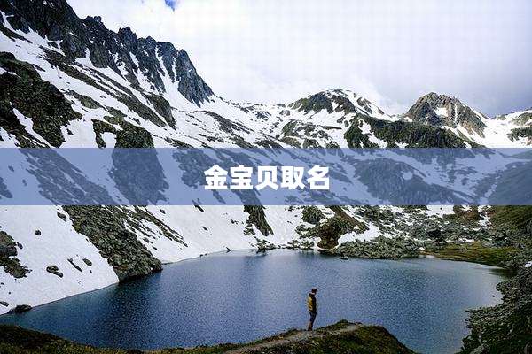 金宝贝取名
