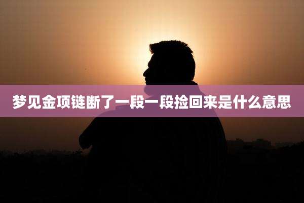 梦见金项链断了一段一段捡回来是什么意思