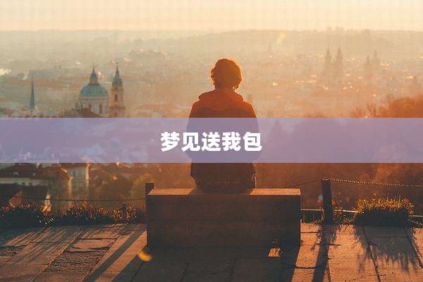 梦见送我包