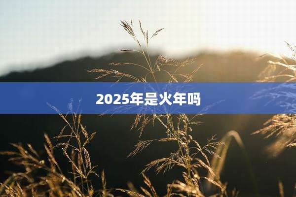 2025年是火年吗