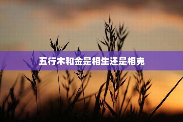 五行木和金是相生还是相克