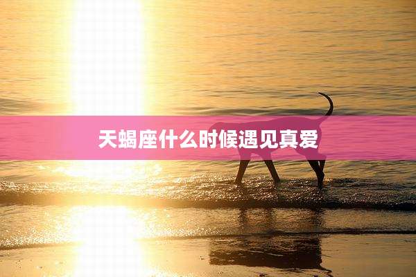 天蝎座什么时候遇见真爱