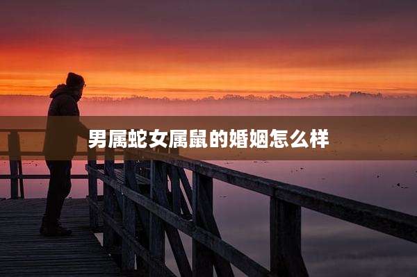 男属蛇女属鼠的婚姻怎么样