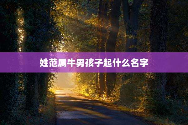 姓范属牛男孩子起什么名字