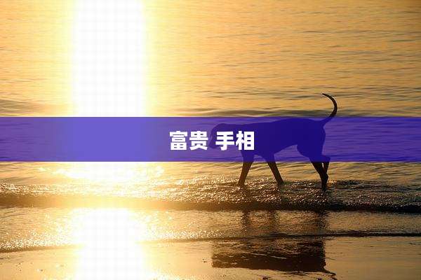 富贵 手相