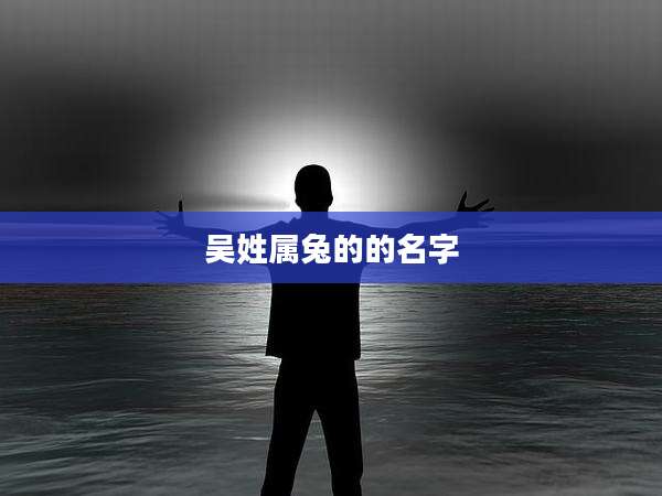 吴姓属兔的的名字