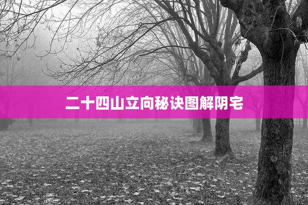 二十四山立向秘诀图解阴宅