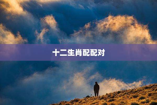 十二生肖配配对