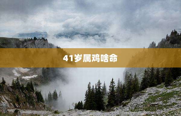 41岁属鸡啥命
