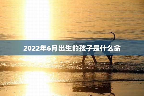 2022年6月出生的孩子是什么命