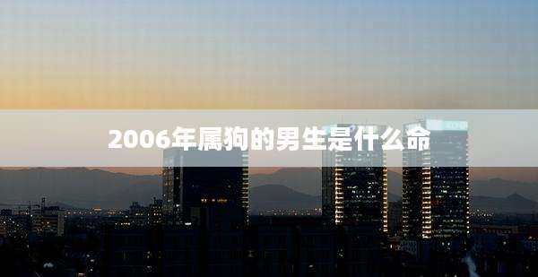 2006年属狗的男生是什么命