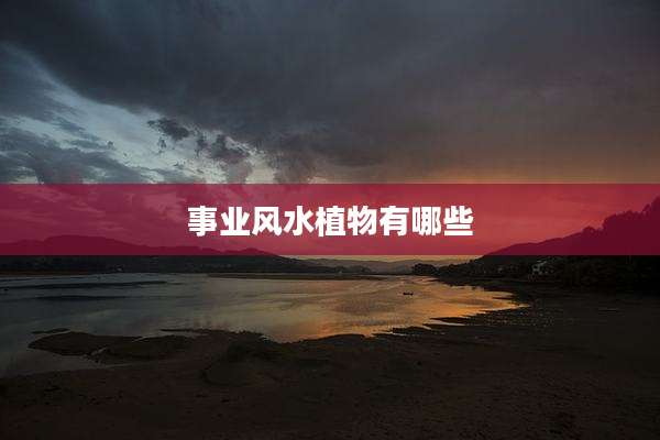 事业风水植物有哪些