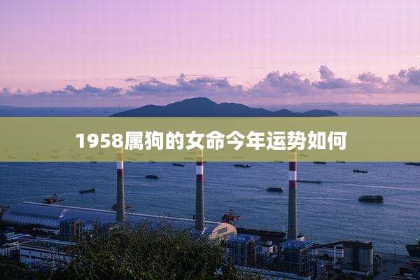 1958属狗的女命今年运势如何