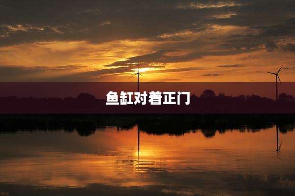 鱼缸对着正门