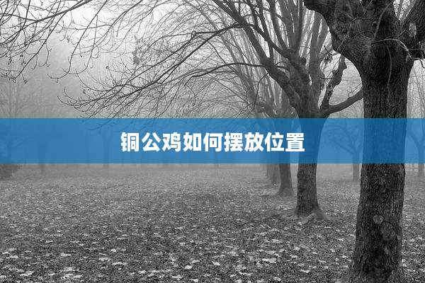 铜公鸡如何摆放位置