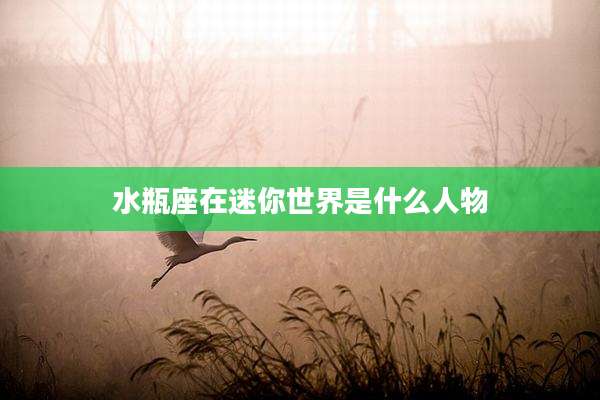 水瓶座在迷你世界是什么人物