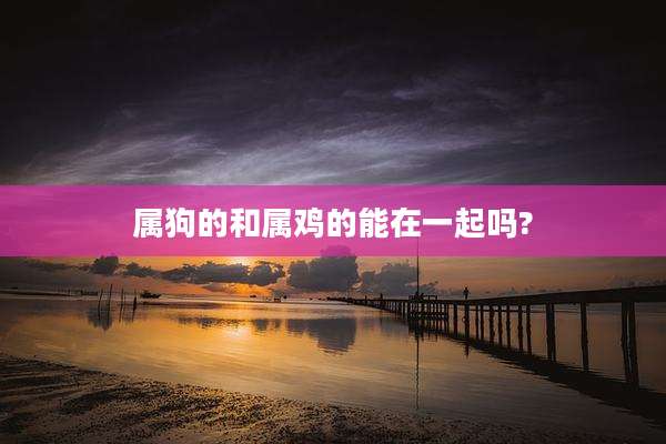 属狗的和属鸡的能在一起吗?