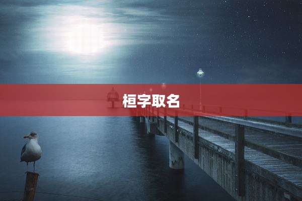 桓字取名